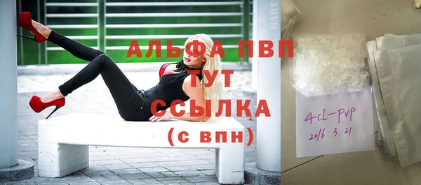 ECSTASY Гусиноозёрск