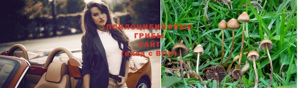 соль ск Гусев
