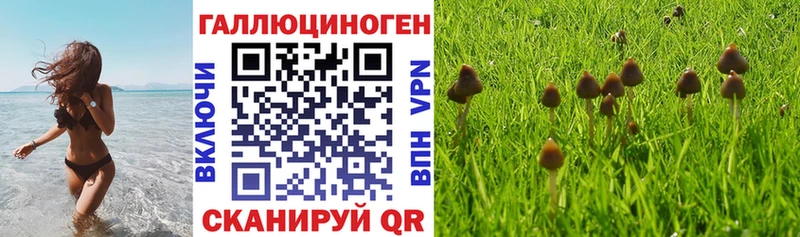 Купить  Ишим  Псилоцибиновые грибы Magic Shrooms 